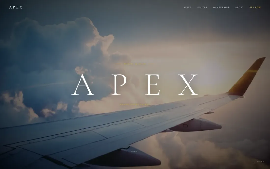 APEX Private Aviation concept website